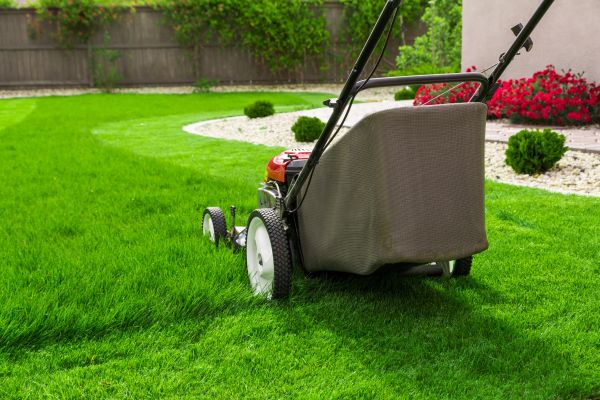 Grass Mowing in Saint Cloud