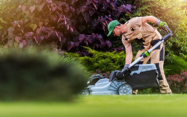 Lawn Care And Maintenance in Saint Cloud