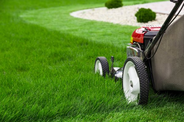 Mowing Service in Saint Cloud