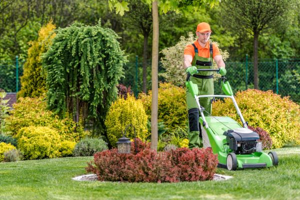 Yard Service in Saint Cloud