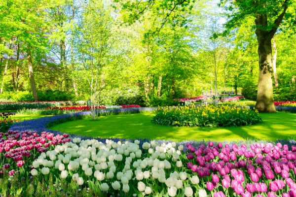 Spring Lawn Care in Saint Cloud