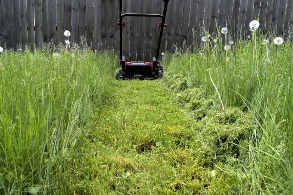 High Grass Mowing in Saint Cloud