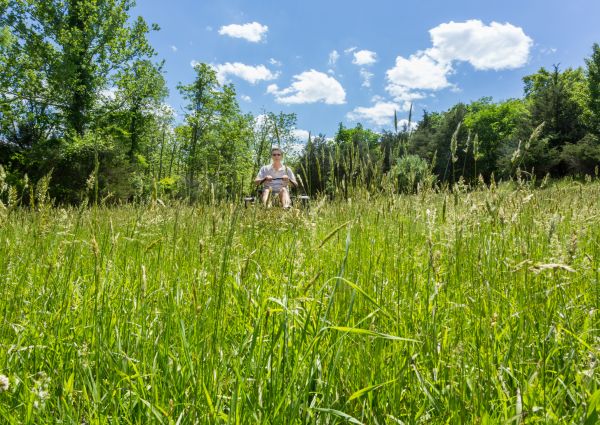 Long Grass Mowing in Saint Cloud