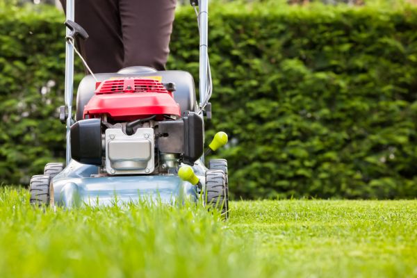 Grass Trimming Service in Saint Cloud