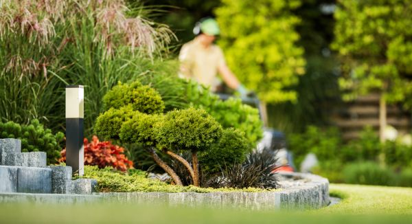Residential Yard Maintenance in Saint Cloud
