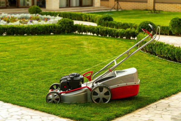 Business Grass Cutting in Saint Cloud