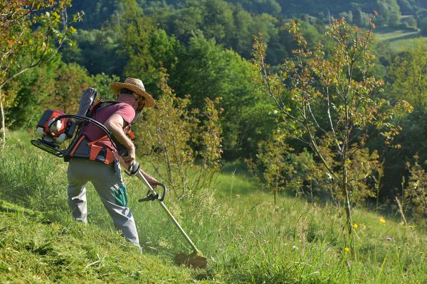 Slope Mowing in Saint Cloud
