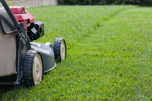 Spring Lawn Maintenance in Saint Cloud