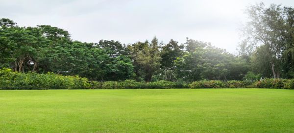 Golf Course Mowing in Saint Cloud