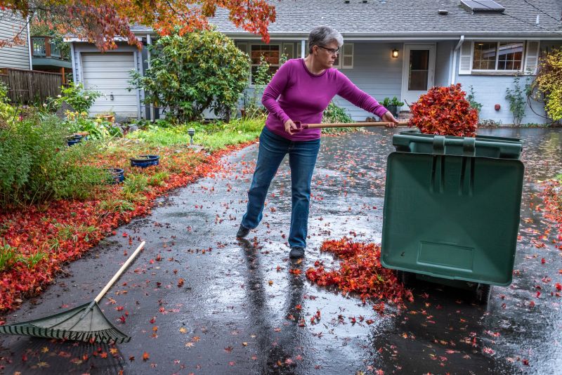 Clean and Tidy Fall Lawn