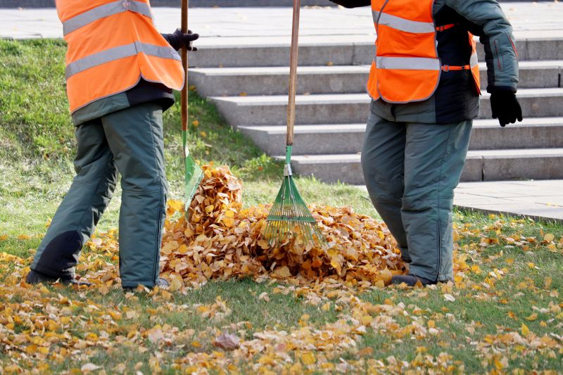 Team Working on Leaf Collection