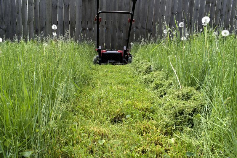 Healthy Grass Maintenance
