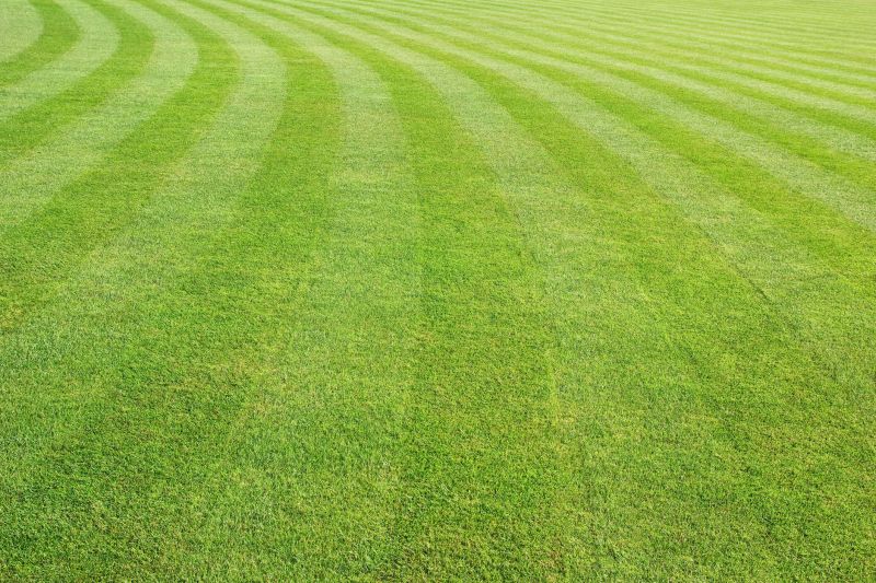 Healthy Lawn After Mowing